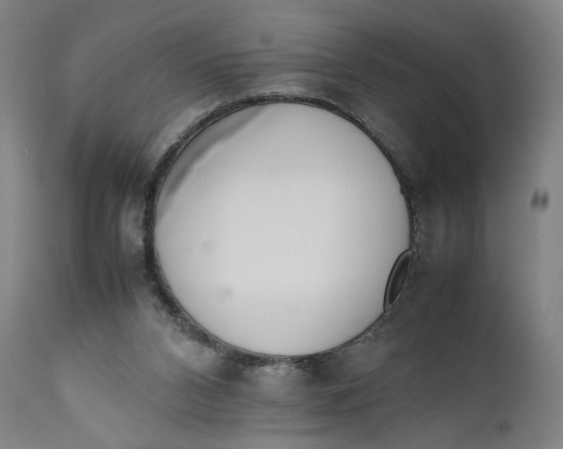 X0000111650112200908071418