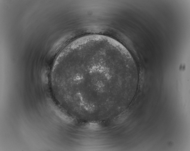 X0000111650114200908071418