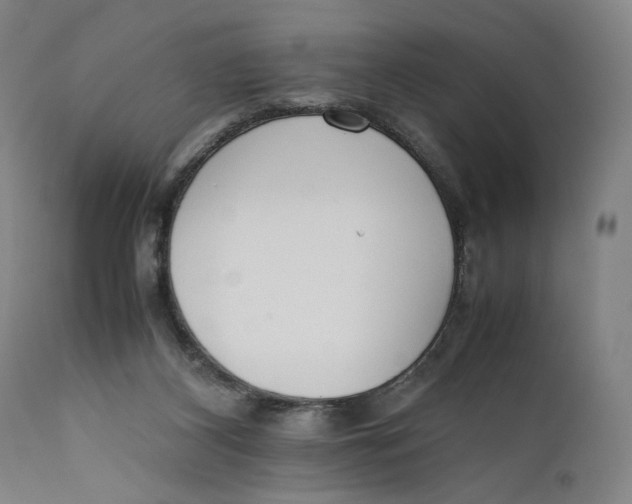 X0000111650116200908071418