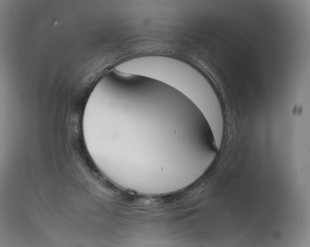 X0000111650117200908071418