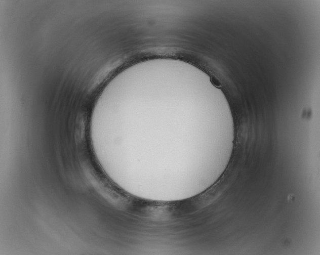 X0000111650120200908071418