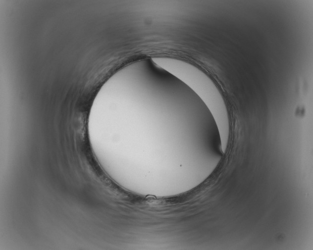 X0000111650121200908071418