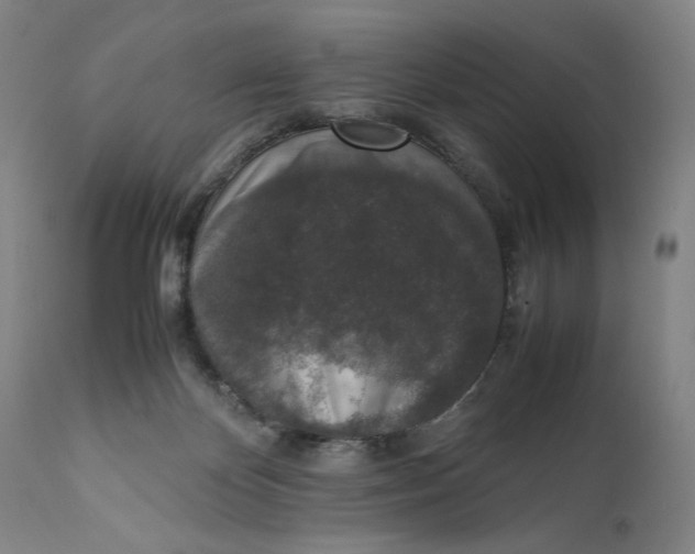 X0000111650124200908071418