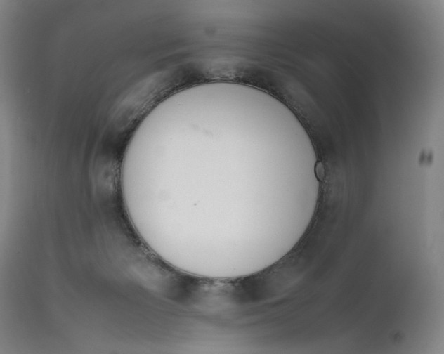 X0000111650125200908071418