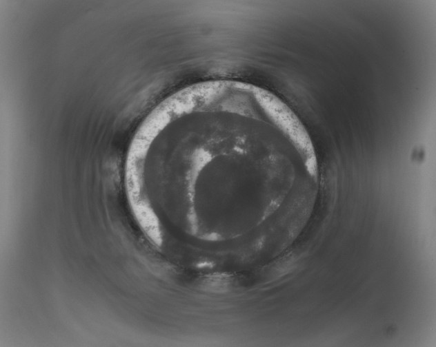 X0000111650127200908071418