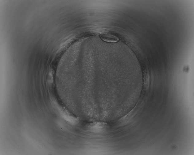 X0000111650128200908071418