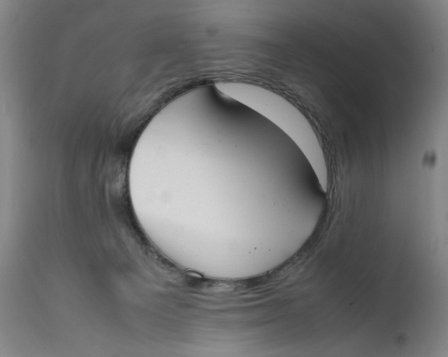 X0000111650129200908071418