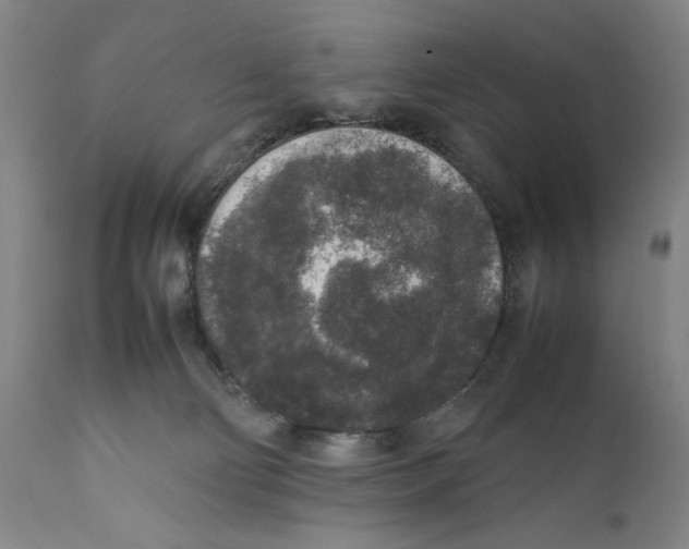 X0000111650130200908071418