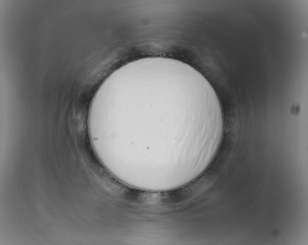 X0000111650131200908071418