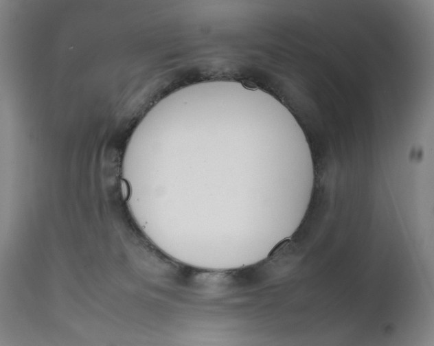 X0000111650133200908071418