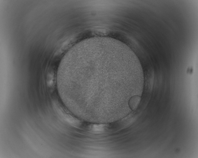 X0000111650134200908071418