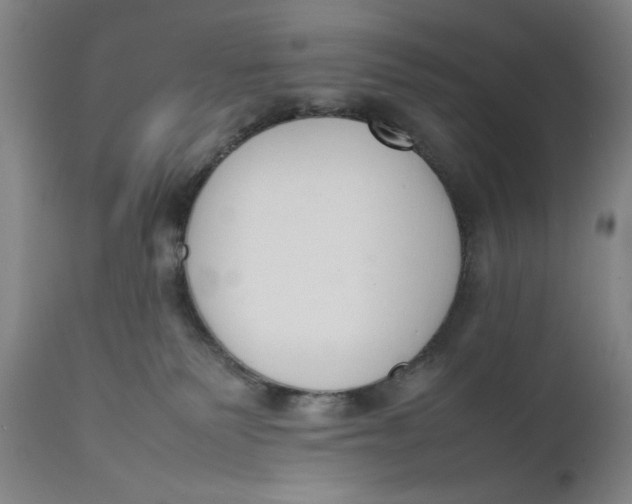 X0000111650135200908071418