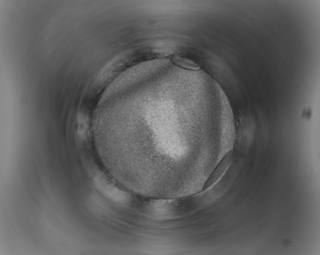 X0000111650136200908071418