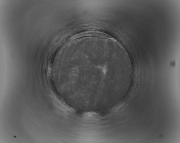 X0000111650137200908071418