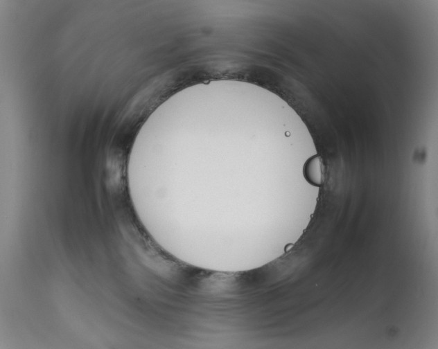 X0000111650138200908071418