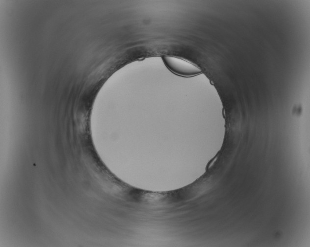 X0000111650139200908071418