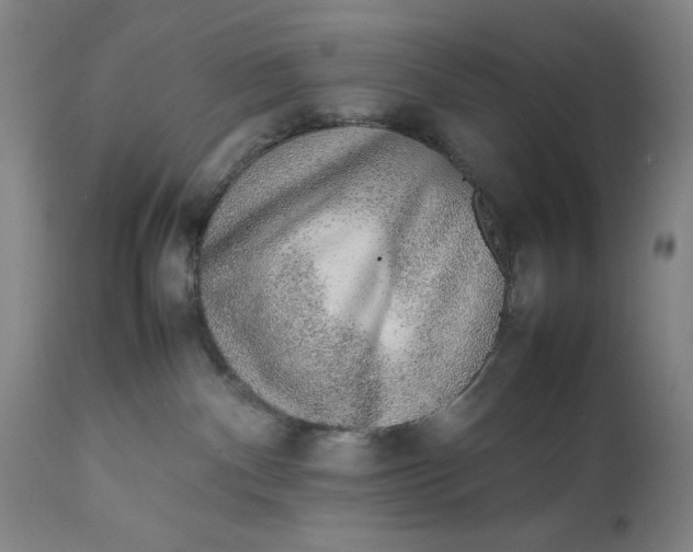 X0000111650140200908071418