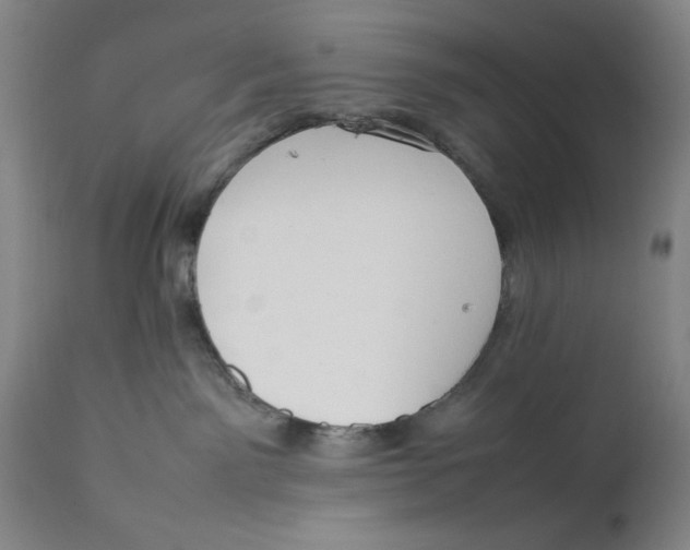 X0000111650141200908071418