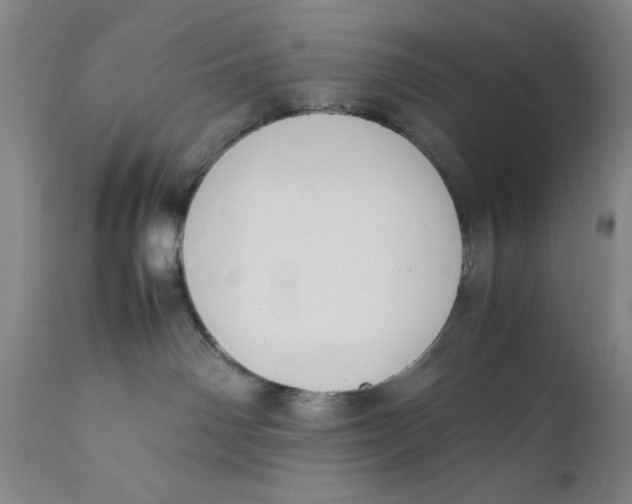 X0000111650142200908071418
