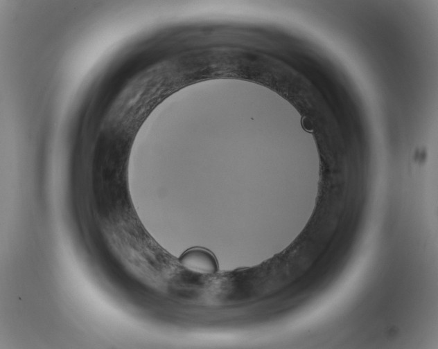 X0000111650143200908071418