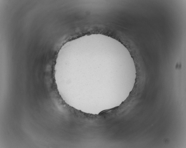 X0000111650144200908071418