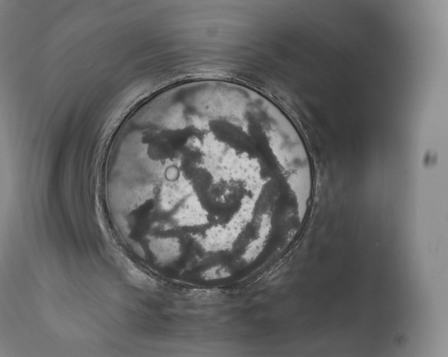X0000111650145200908071417