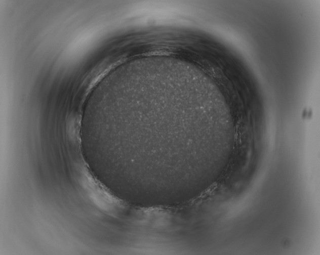 X0000111650146200908071417
