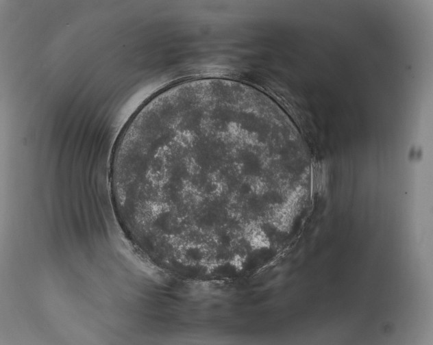 X0000111650147200908071417