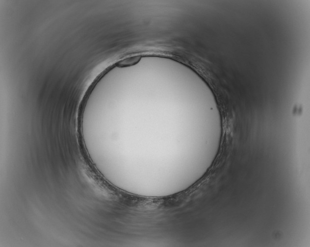 X0000111650148200908071417