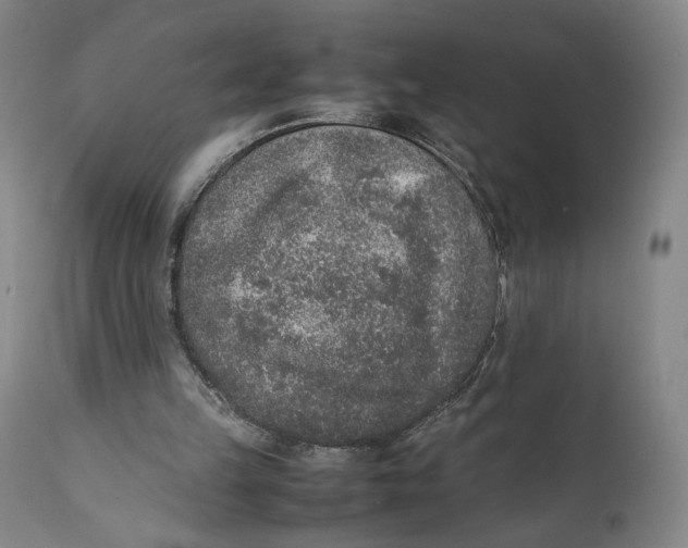 X0000111650149200908071417