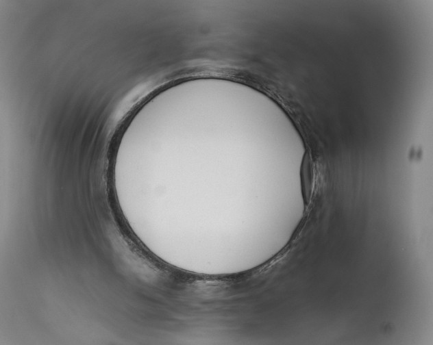 X0000111650150200908071417