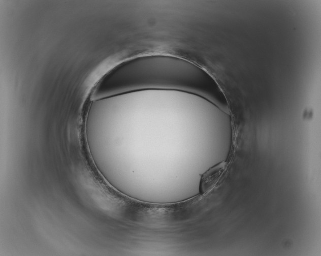 X0000111650152200908071417