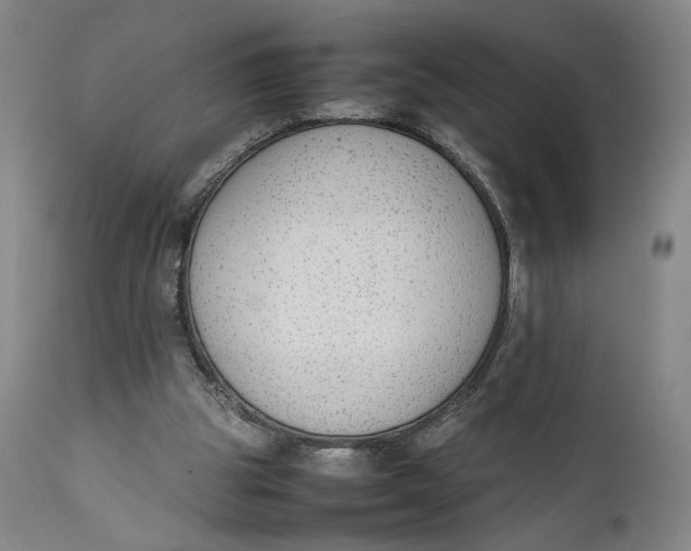 X0000111650153200908071417