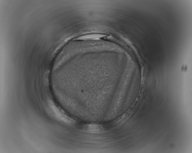 X0000111650154200908071417