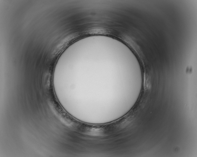 X0000111650157200908071417