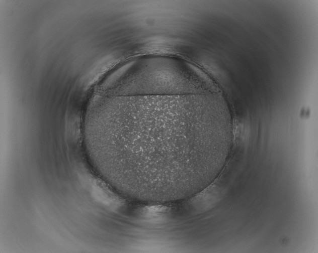 X0000111650158200908071417