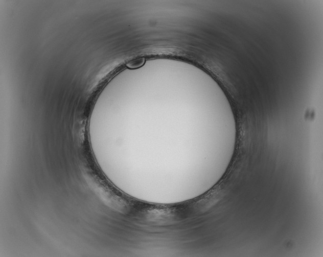 X0000111650160200908071417
