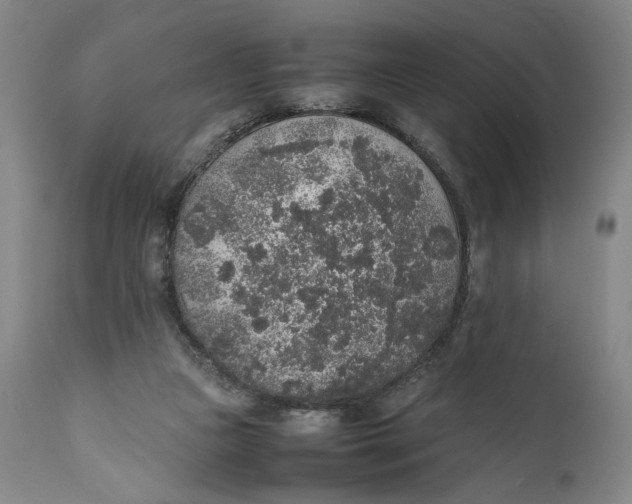 X0000111650161200908071417