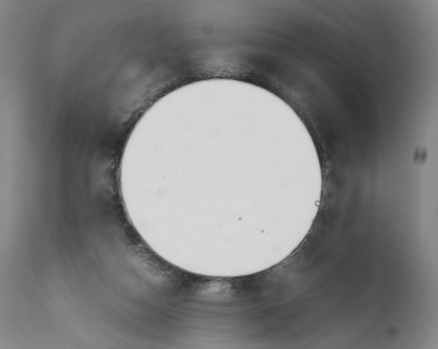 X0000111650162200908071417
