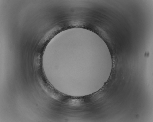 X0000111650163200908071417