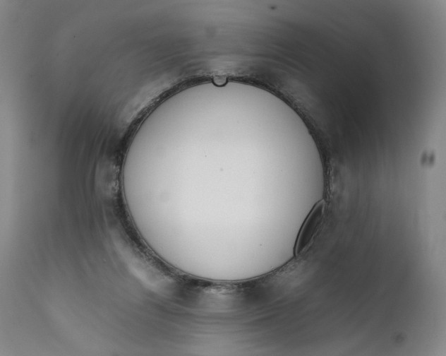 X0000111650164200908071417