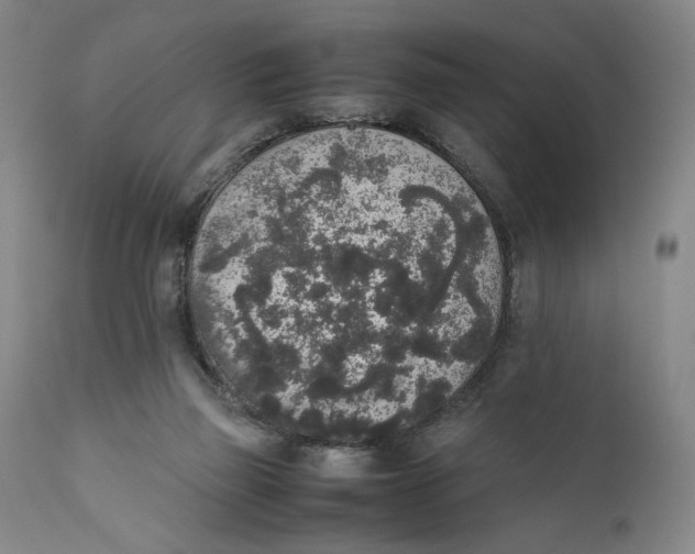 X0000111650165200908071417