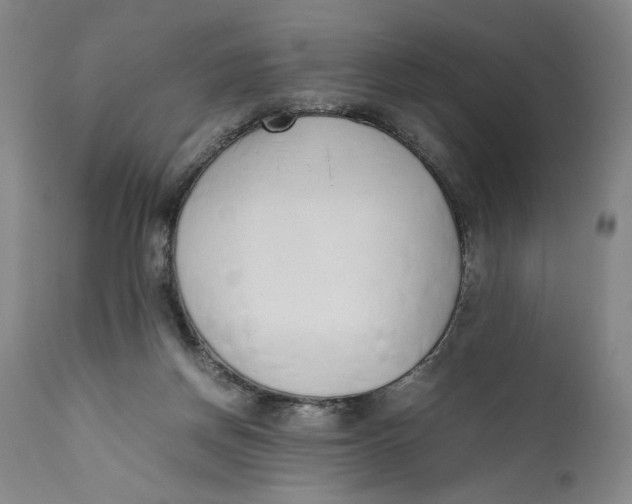 X0000111650166200908071417