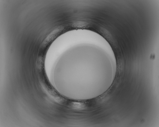 X0000111650167200908071417