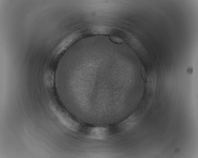 X0000111650168200908071417
