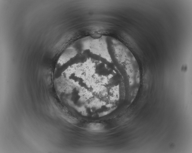 X0000111650169200908071417