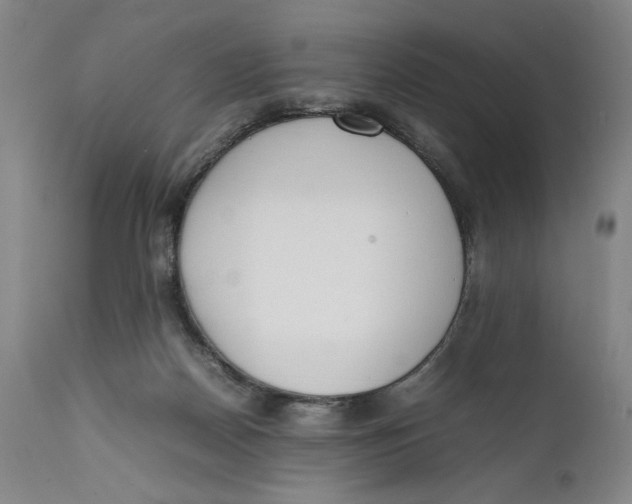 X0000111650170200908071417
