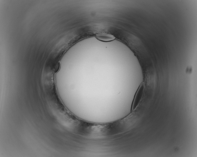 X0000111650172200908071417
