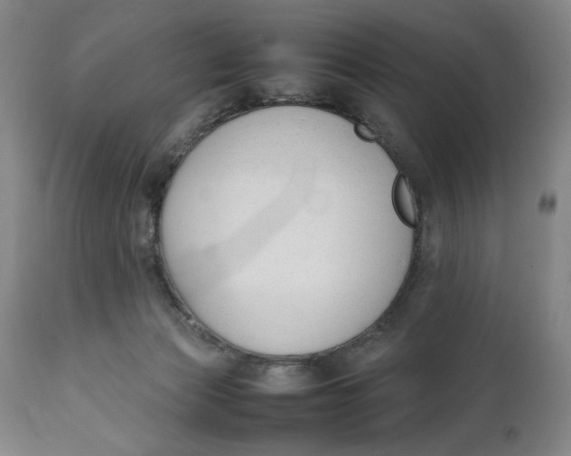 X0000111650173200908071417