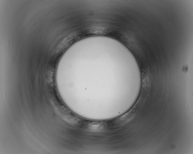 X0000111650175200908071417